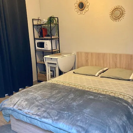 Lägenhet Calme Et Bien Situe Tarbes