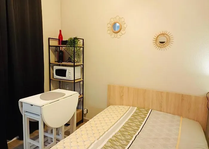 Calme Et Bien Situe * Tarbes